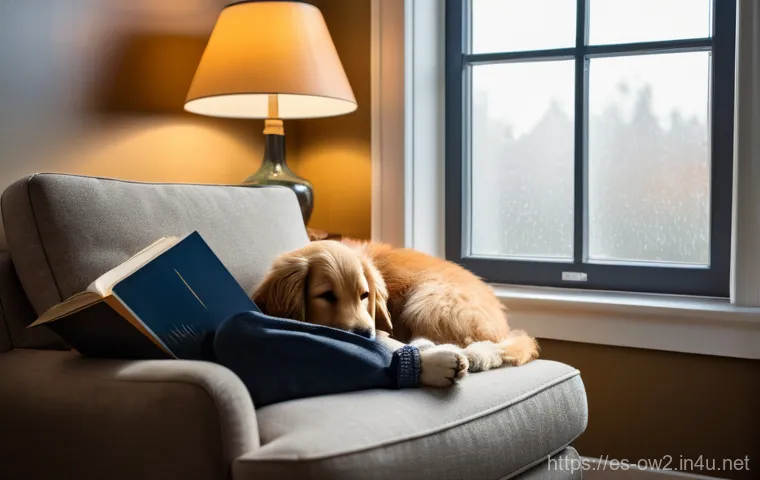 오버워치2 최신 업데이트 미리보기 - A courageous female adventurer, approximately in her early twenties, stands defiantly in a mystical,...